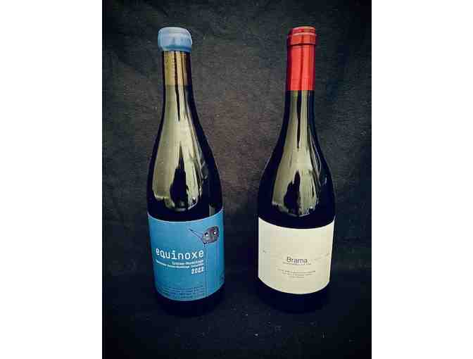 WINE (RED): France / Italy (Imported) - 2 Bottles - Photo 1