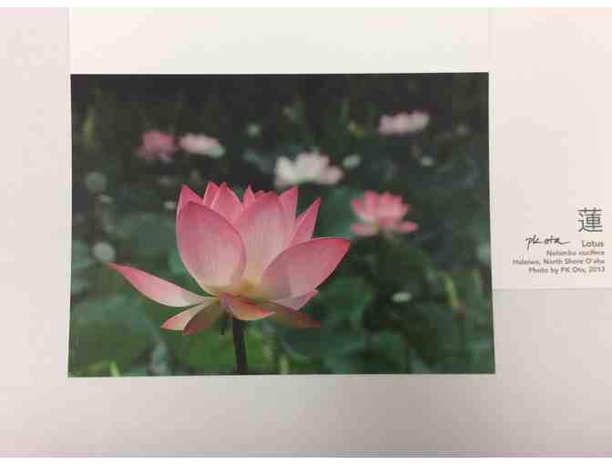 Notecards with Original Artwork - 'Lotus'  (Set of 5 Cards with Envelopes)