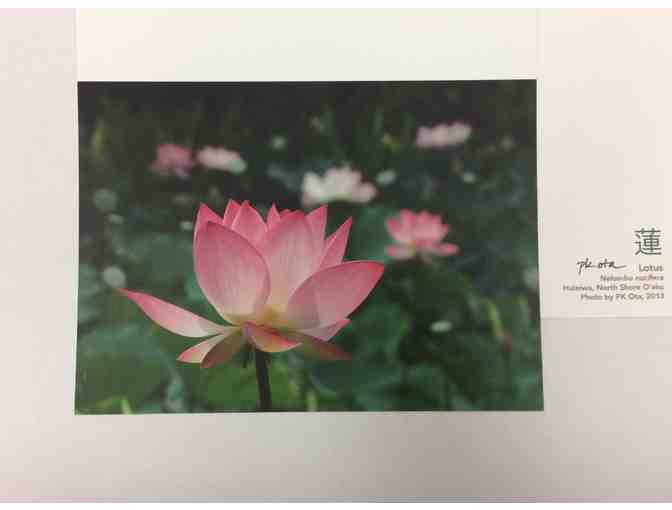 Notecards with Original Artwork - 'Lotus'  (Set of 5 Cards with Envelopes)