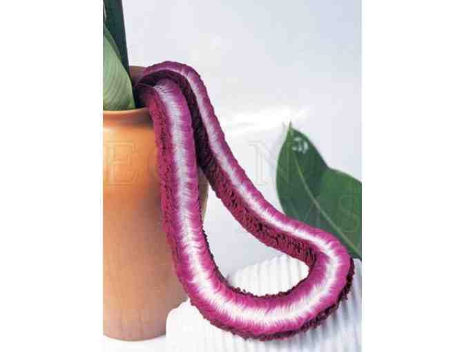 Lei Set from THE Orchid Lei Company