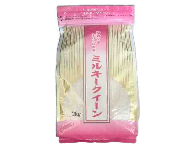 Premium Sun Noodle Box Set-1