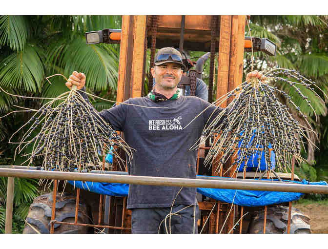 Private Tour + Chocolate Tasting at Kahuku Farms (OAHU)