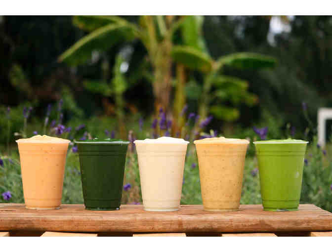 Private Tour + Chocolate Tasting at Kahuku Farms (OAHU)