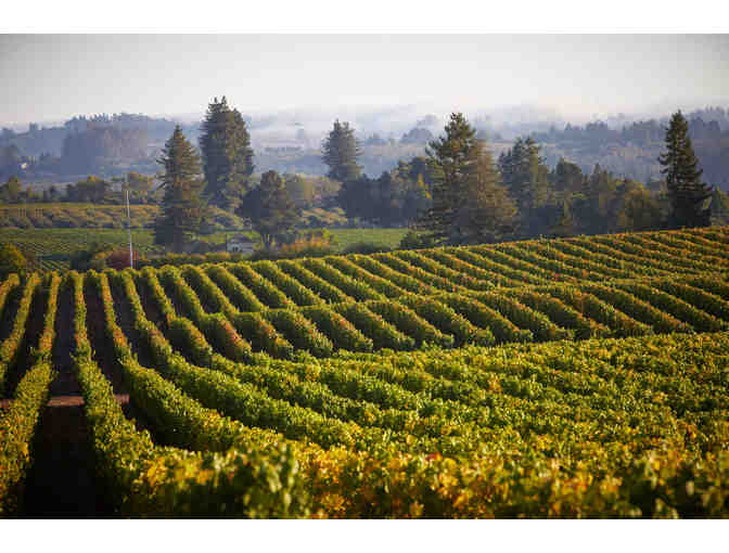 WINE LOT: Three Bottles of Gary Farrell Winery Magnums 2017