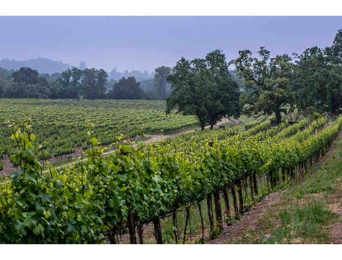 WINE LOT: Three Bottles of Gary Farrell Winery Magnums 2017