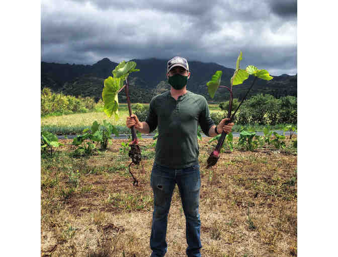 $100 Gift Card to Punahele Provisions