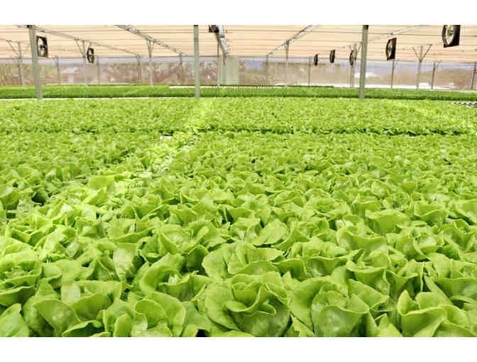 $50 Gift Card to Mari's Gardens (OAHU)-2