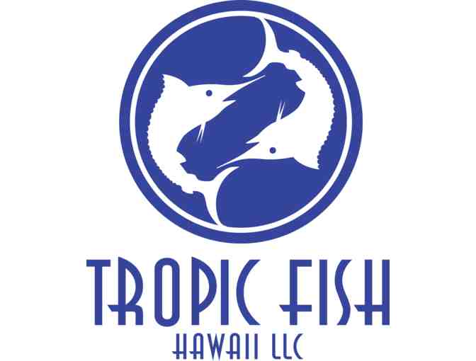 One Pail of Bristol U-10 Scallops from Tropic Fish Hawaii (OAHU)