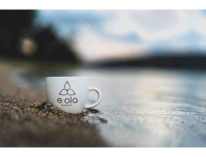 CBD Infused E Ola Hawaii Coffee Bags (Signature)-1