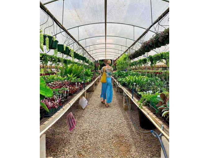 $50 Gift Card to Mari's Gardens (OAHU)-3