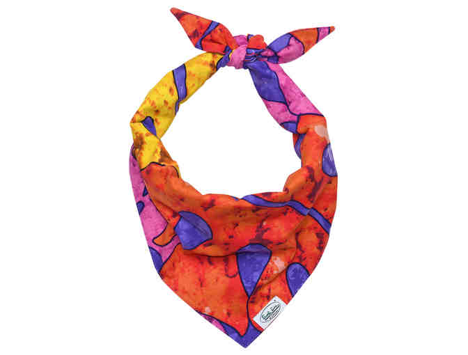 Pet Accessory Package by Jams World