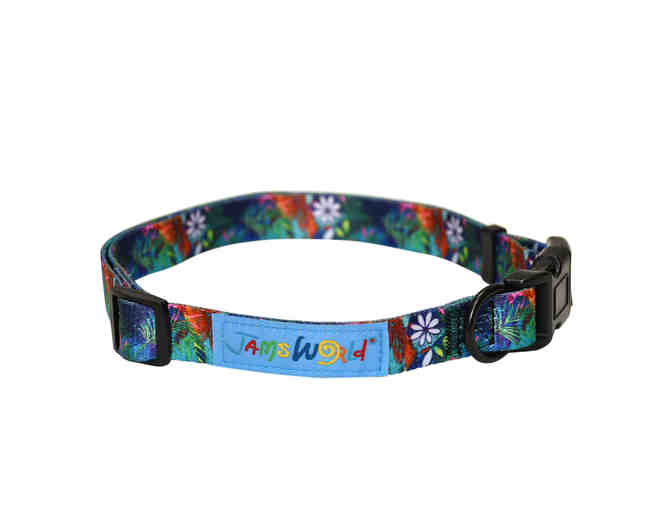 Pet Accessory Package by Jams World