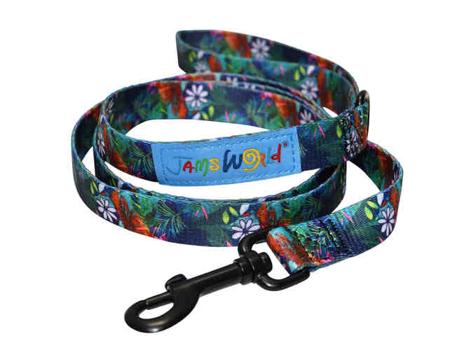 Pet Accessory Package by Jams World