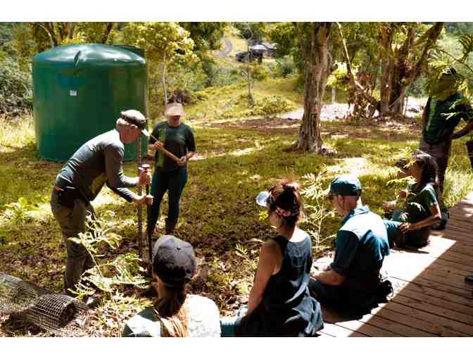 Kualoa Ranch Grown Tour for Four at Kualoa Ranch (OAHU)