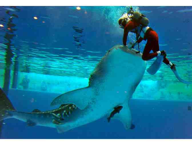 Four Tickets to Adventure Aquarium