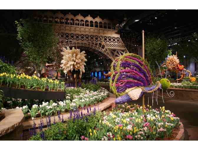 Four Tickets to the 2014  Flower Shower with a Private Tour