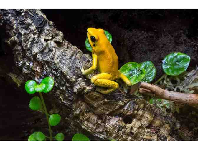 Reid Park Zoo - One Year Family Membership