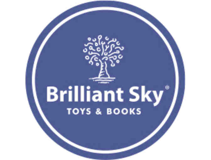 Brillant Sky STEM toy collection