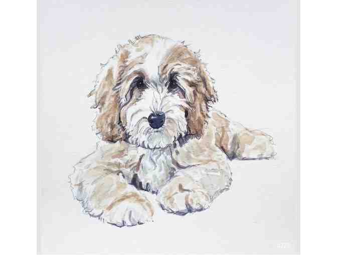 Watercolor Pet Portrait by Amanda Norman