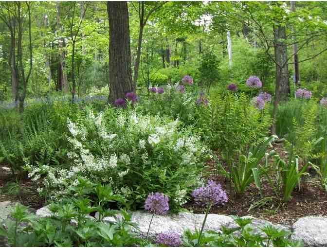 Consultation & Labor from Earth Designs Landscaping