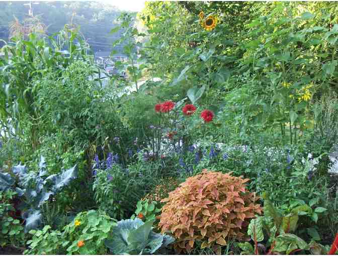 Consultation & Labor from Earth Designs Landscaping