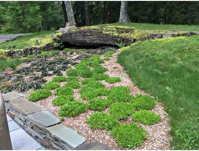 Consultation & Labor from Earth Designs Landscaping