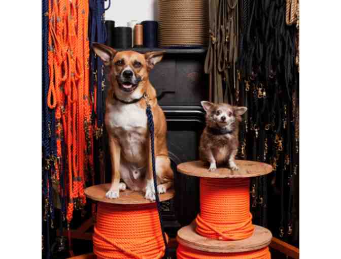 FOUND MY ANIMAL leash and collar set