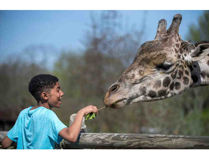 Wild Encounter at the Pittsburgh Zoo & Aquarium