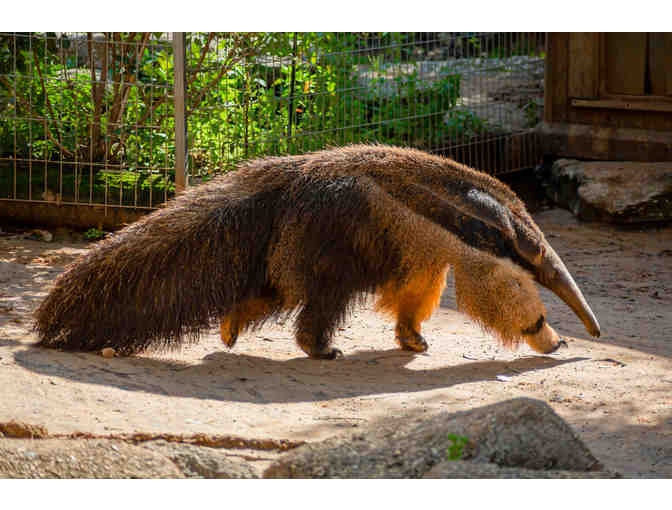 Wild Encounter at the Pittsburgh Zoo & Aquarium