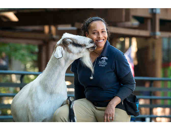 Wild Encounter at the Pittsburgh Zoo & Aquarium