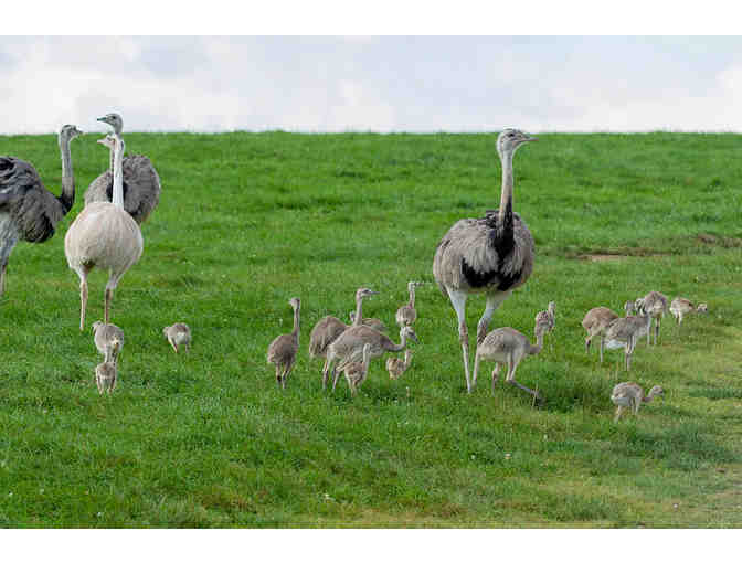 Lake Tobias Wildlife Park