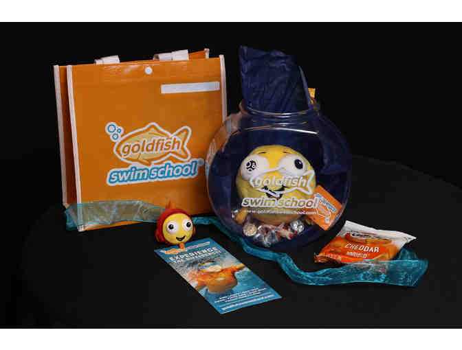 Dive In To Goldfish Swim School!