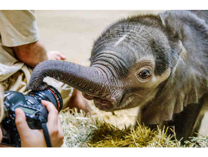 Wild Encounter at the Pittsburgh Zoo & Aquarium