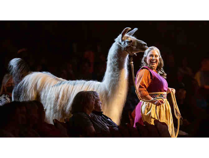 Experience NOAH at Sight & Sound Theatre