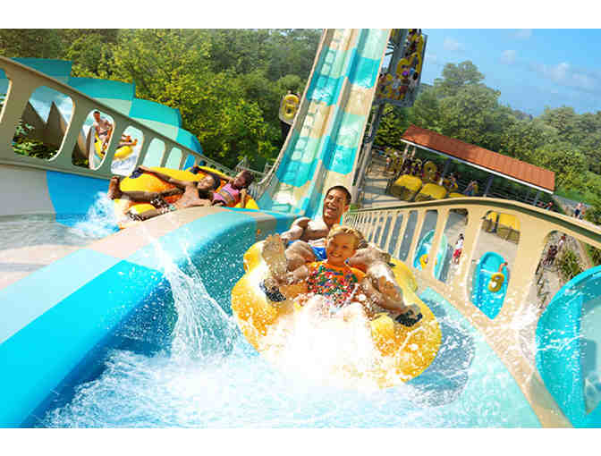 Thrills Await at Kings Island Amusement Park