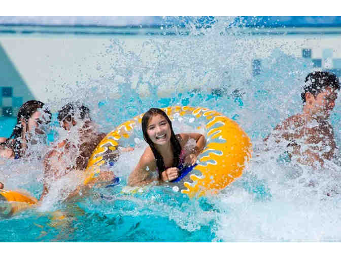 Thrills Await at Kings Island Amusement Park