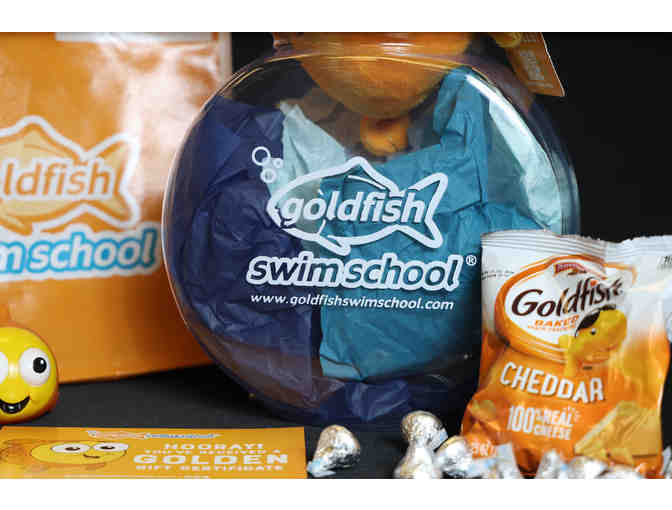Dive In To Goldfish Swim School!