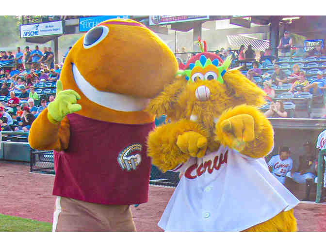 Altoona Curve Minor League Baseball First Pitch Package!