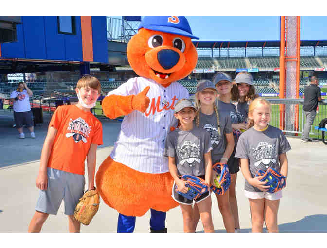 Syracuse Mets Minor League Baseball Package!