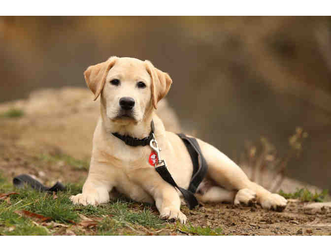 Capture Precious Moments with a Professional Photography Session!