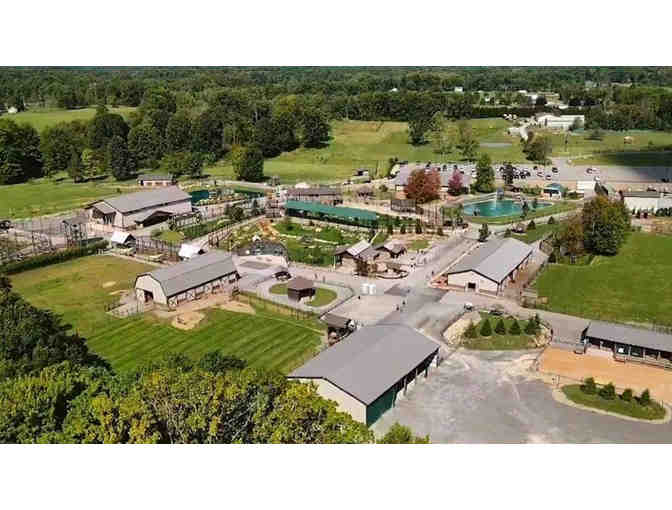 Get Wild! Spend a Day of Adventure at Keystone Safari!