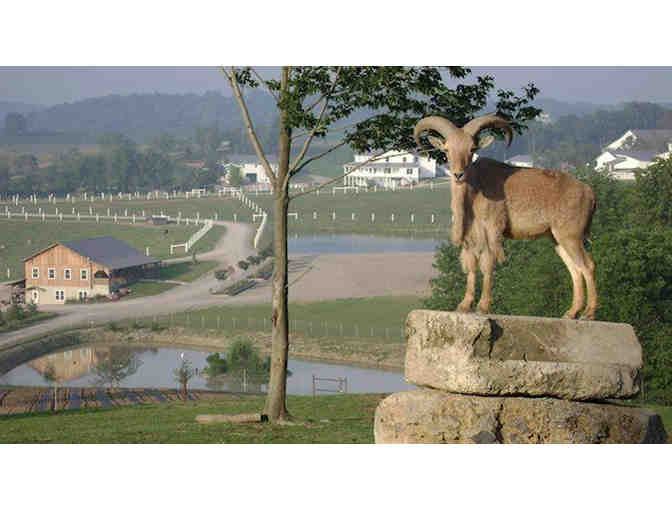 Explore The Farm at Walnut Creek