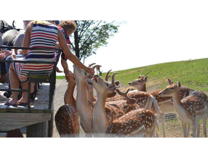 Explore The Farm at Walnut Creek