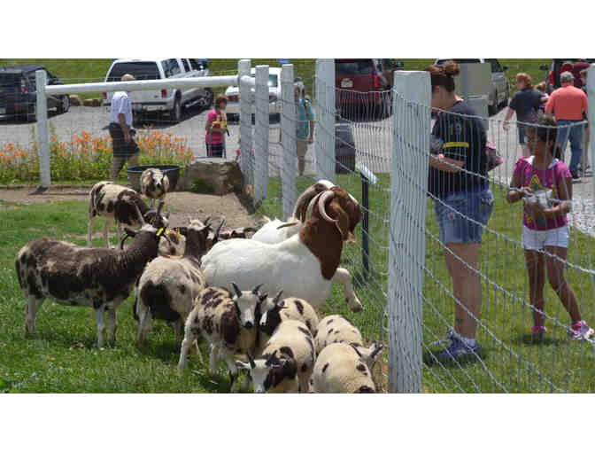 Explore The Farm at Walnut Creek