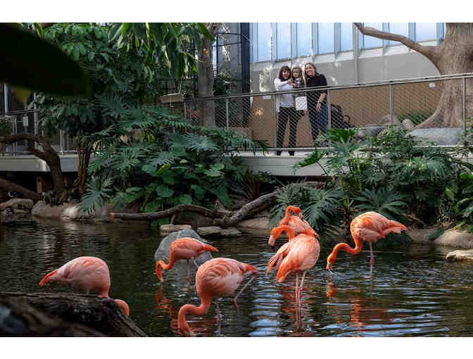 Take Flight! Tickets to the National Aviary!