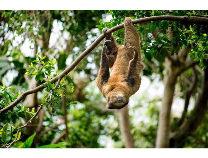 Take Flight! Tickets to the National Aviary!