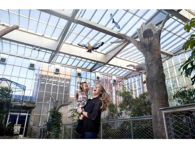 Take Flight! Tickets to the National Aviary!