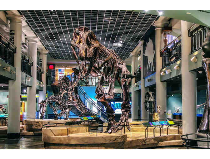 Unlock a world of wonder in Philadelphia!