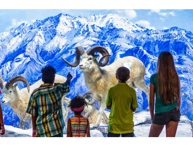 Unlock a world of wonder in Philadelphia!