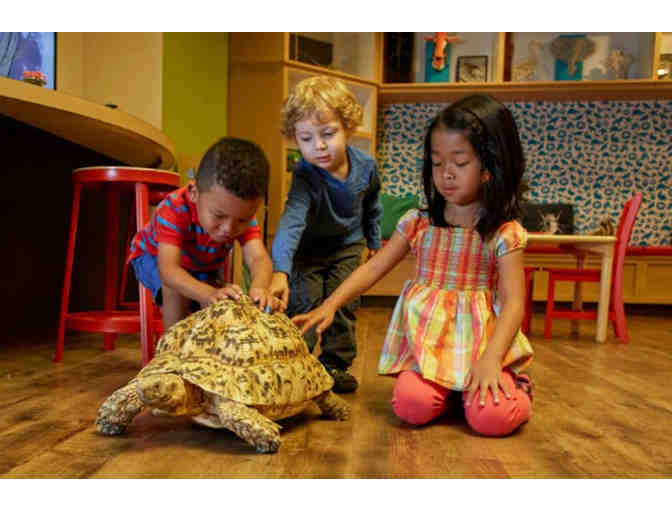 Unlock a world of wonder in Philadelphia!